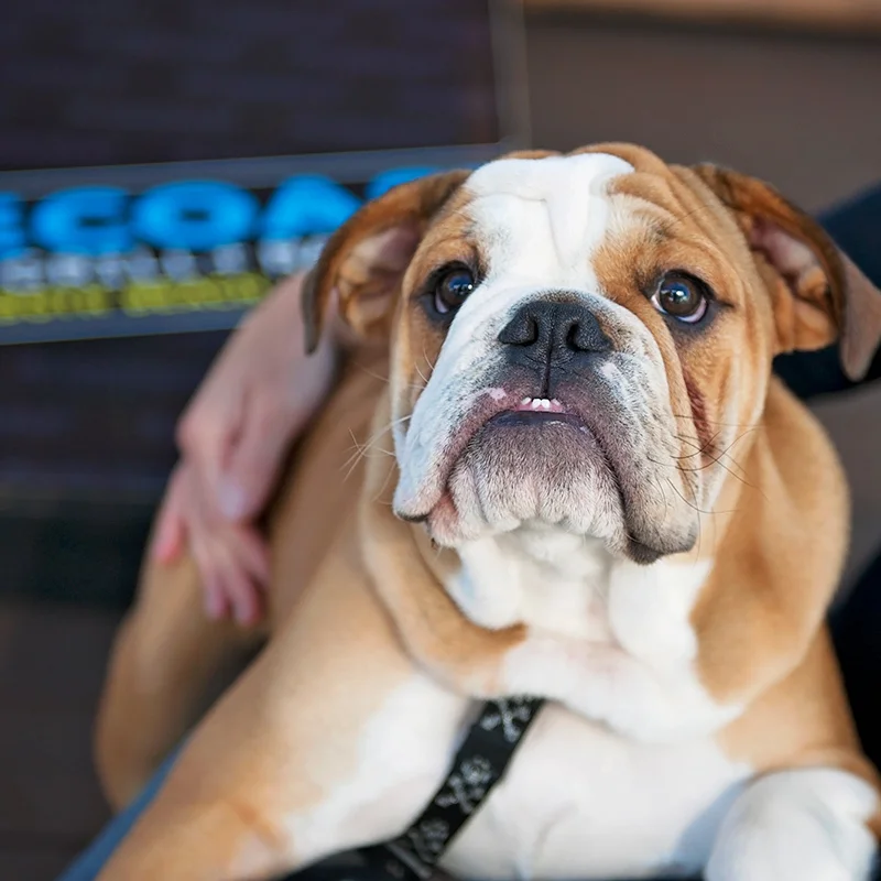 headshot_winston_kammerer_03.jpg