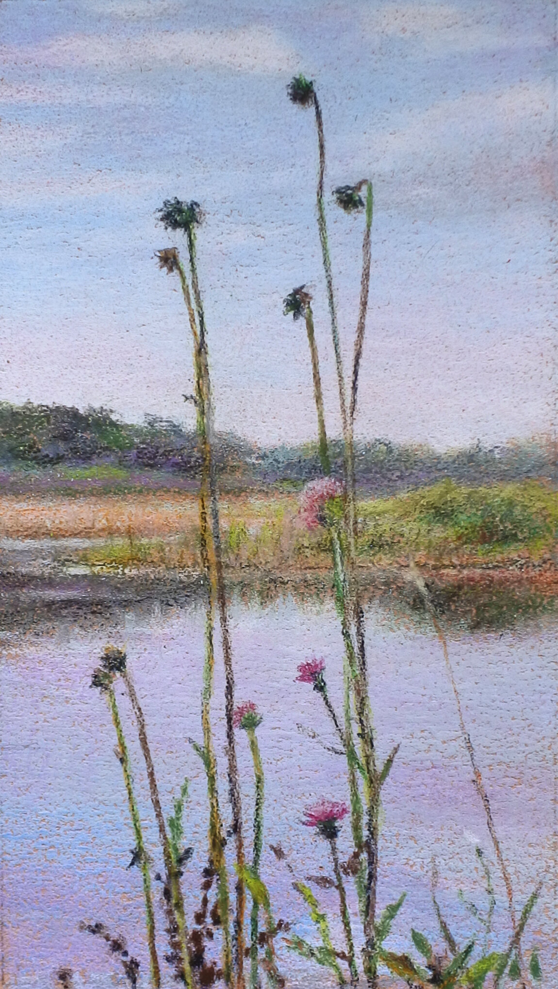 thistles
