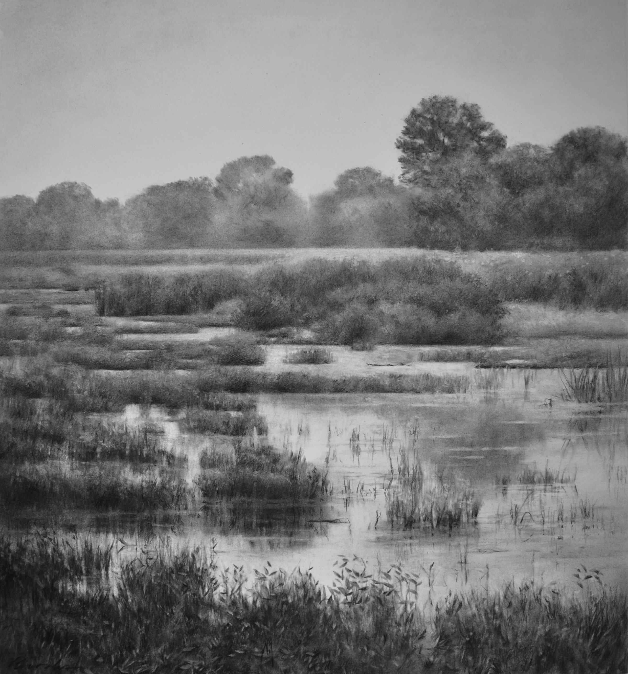 marshland