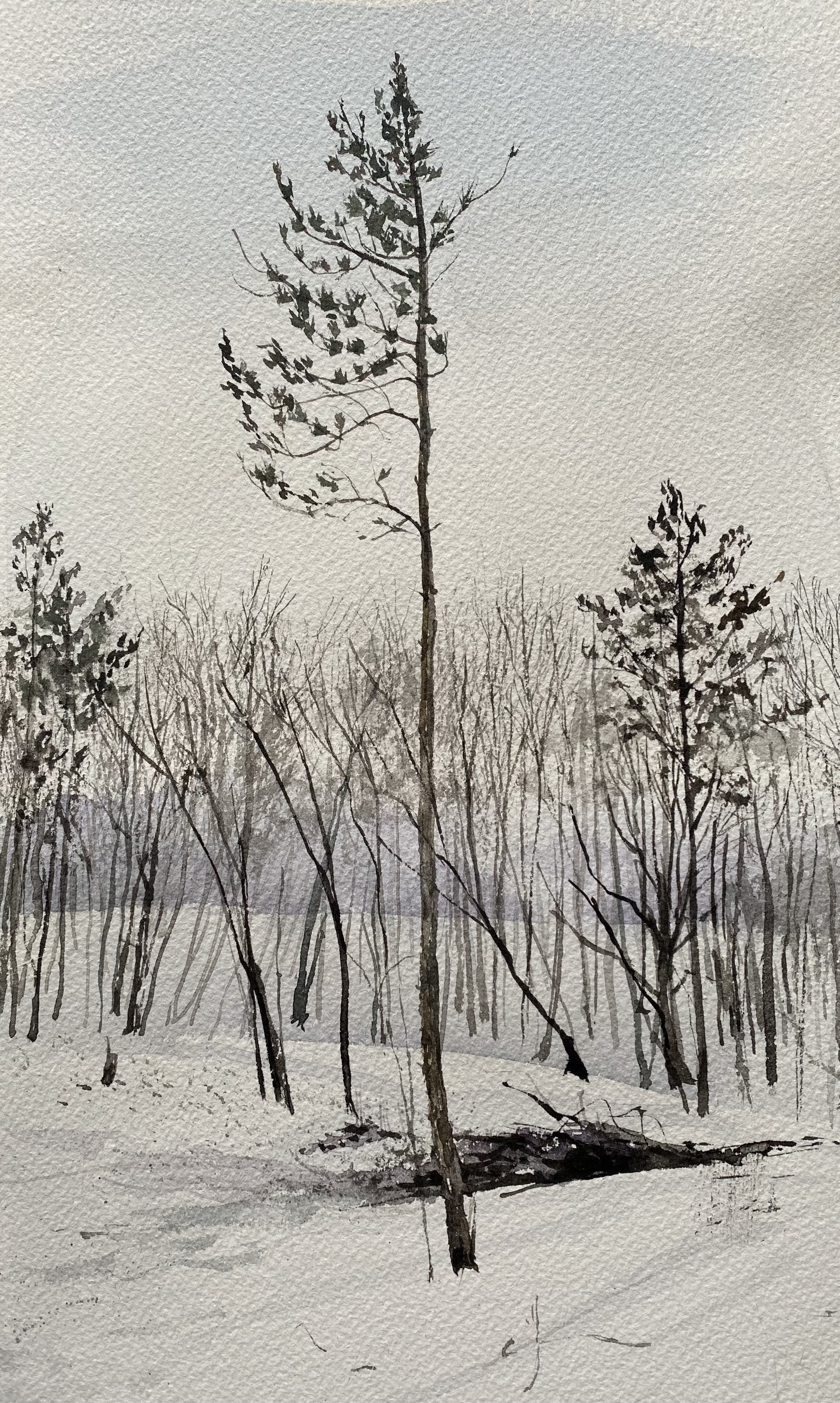grant woods, winter