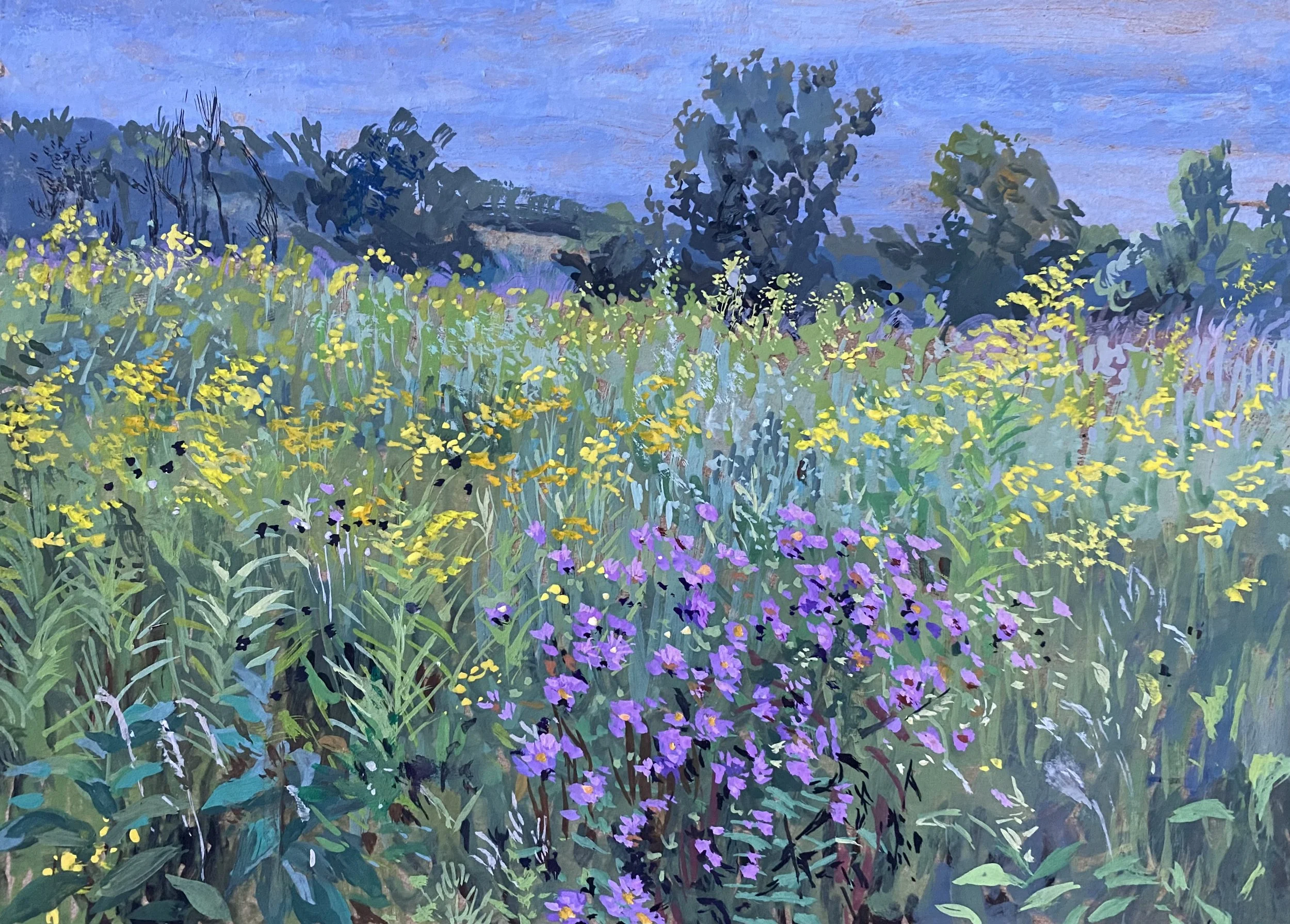 New England asters and goldenrod