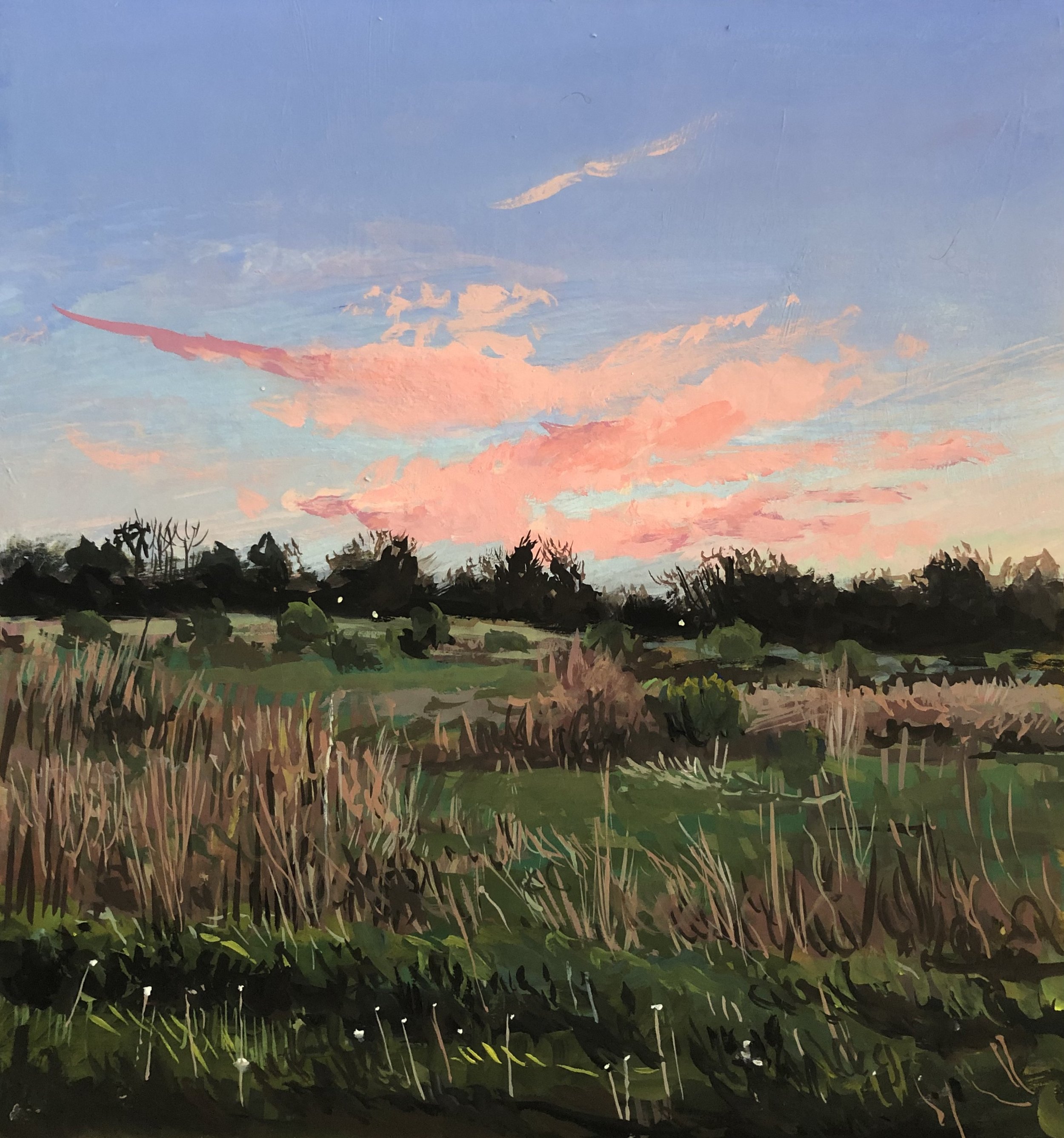 pink clouds, spring grove