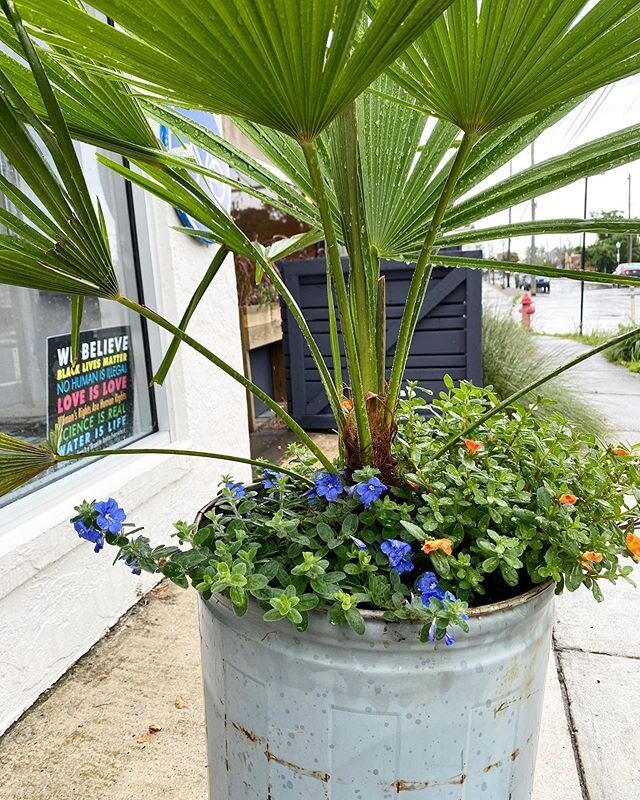 Wet and Rainy, but a good day to pick up wine and beer curbside. Order at the link in our bio!