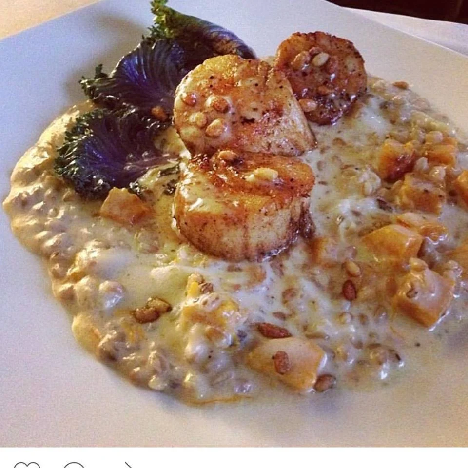 scallop.jpg