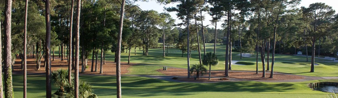 golf-course-1420945_1920-1139x333.jpg