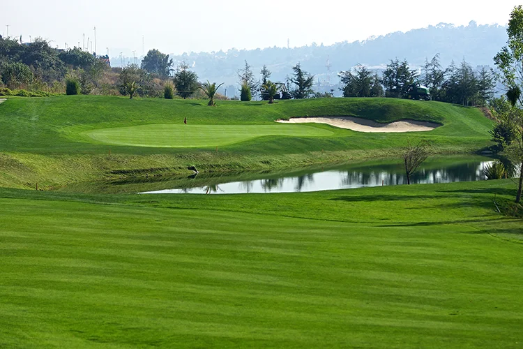 Bosque Real Ejecutivo. AMTOUR GM 2019