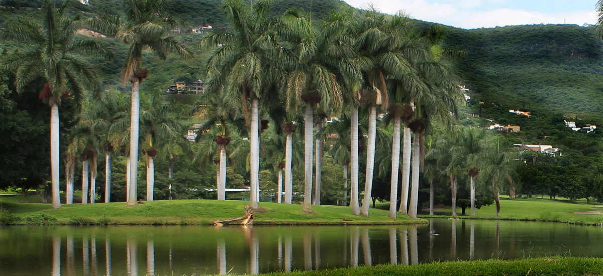 Club de Golf Hacienda San Gaspar