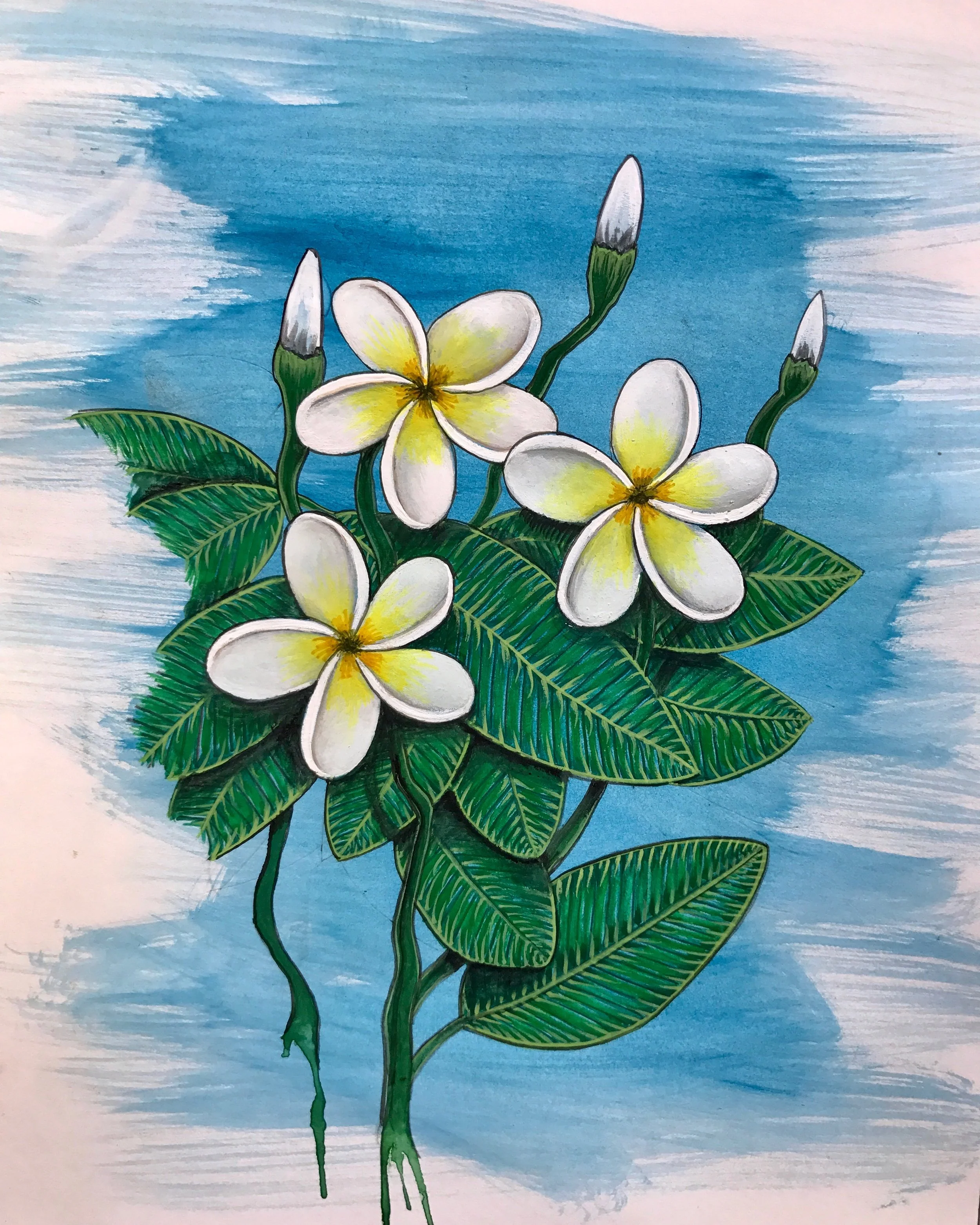 Frangipani