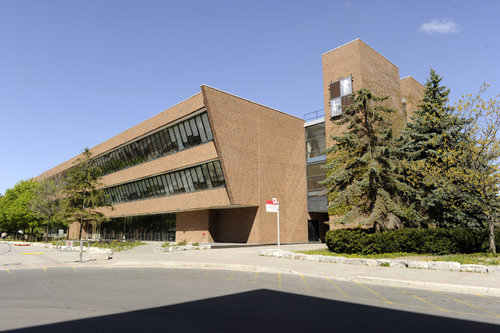 York University