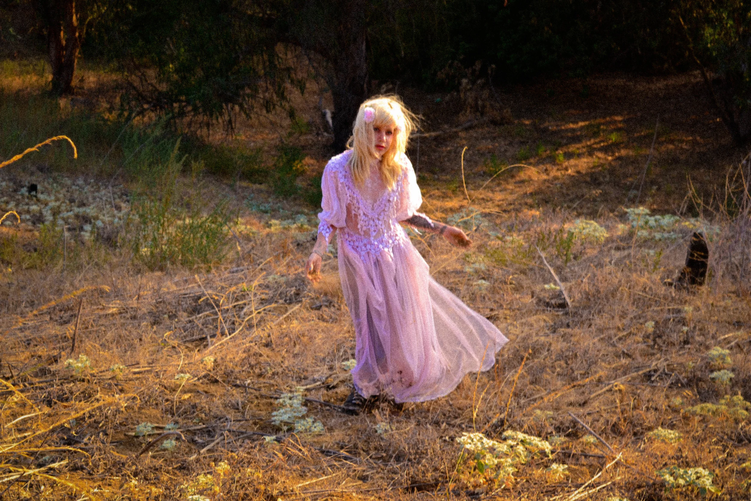 Lux in the Hollywood Hills.