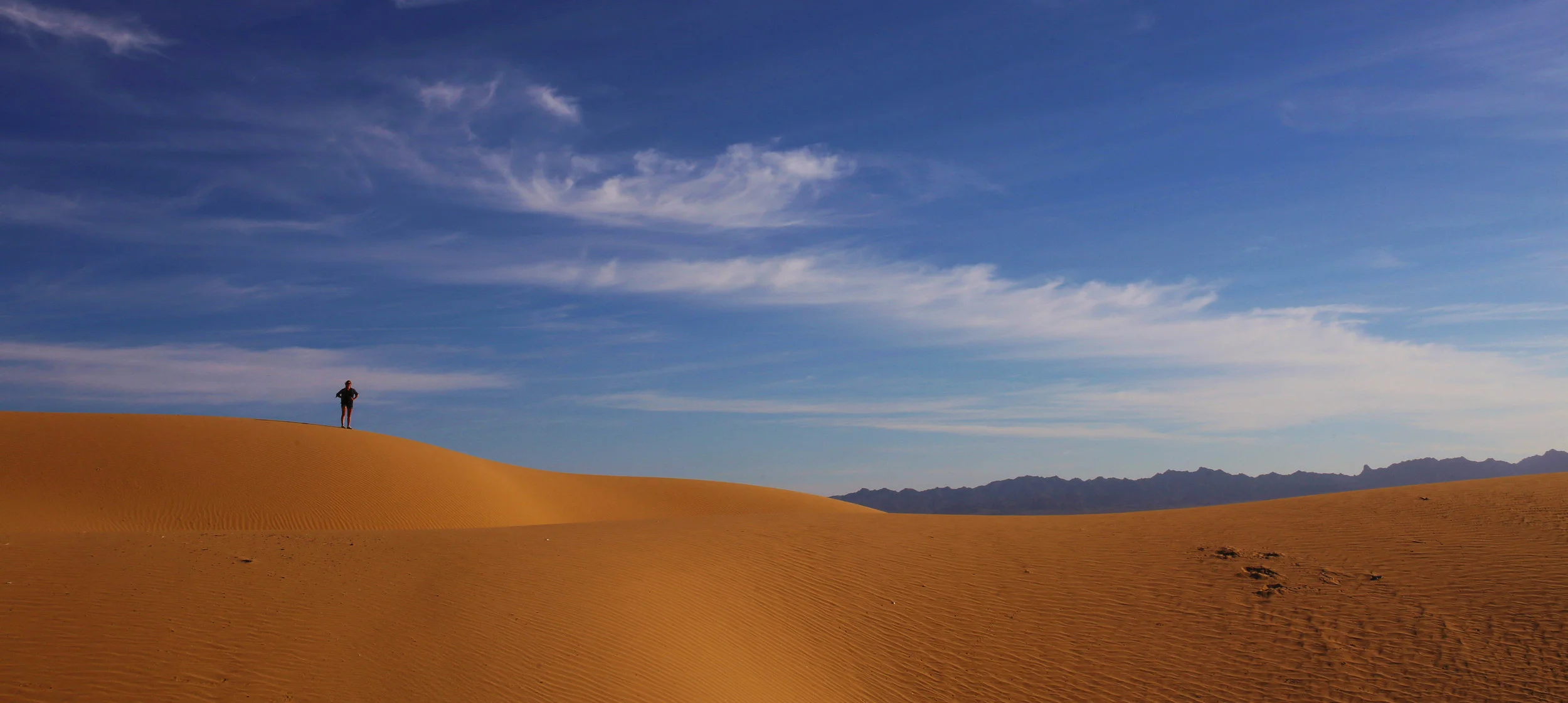 Location scouting from afar.