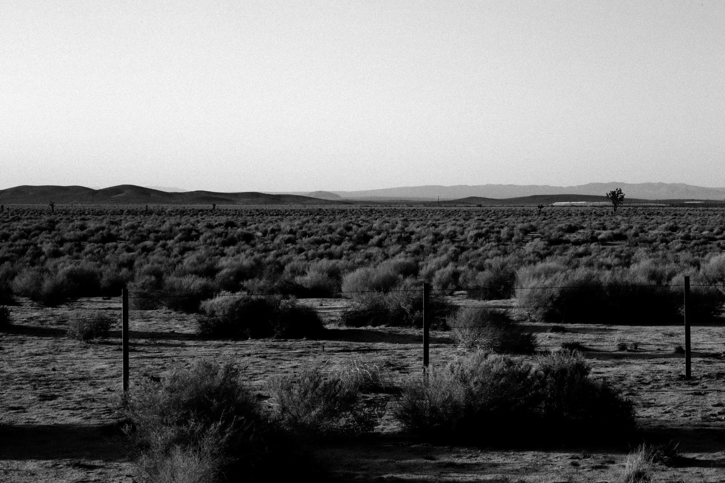 Somewhere between Bakersfield...