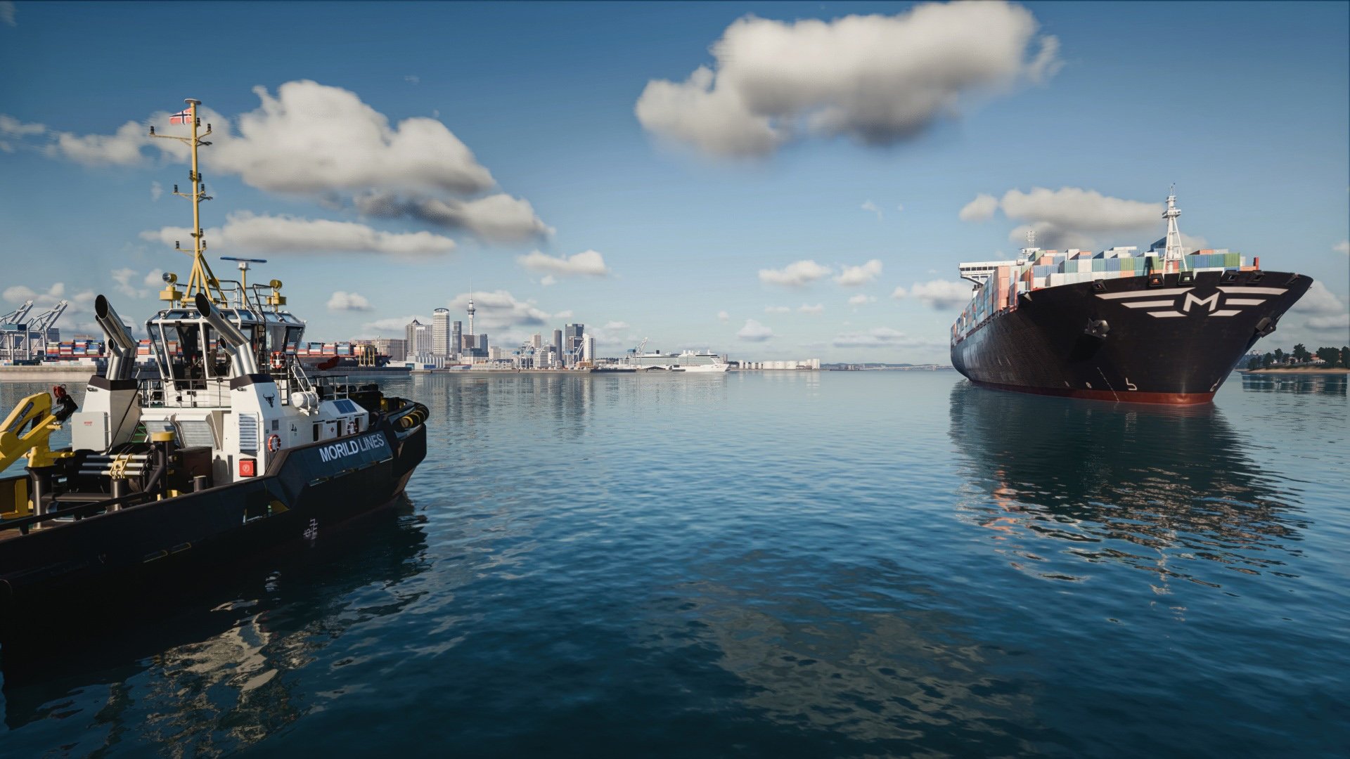 New Auckland.jpg
