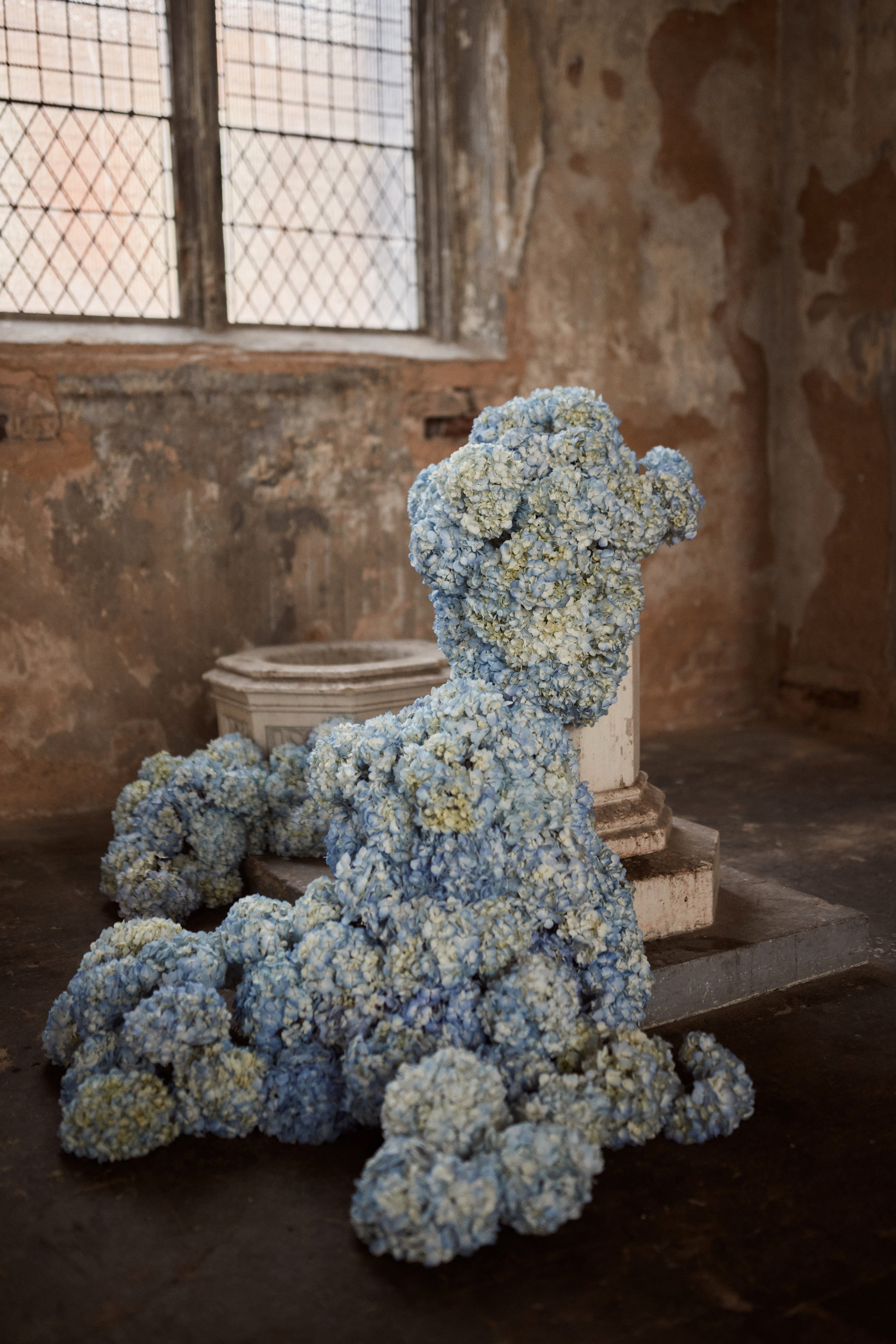 bluehydrangea.jpg