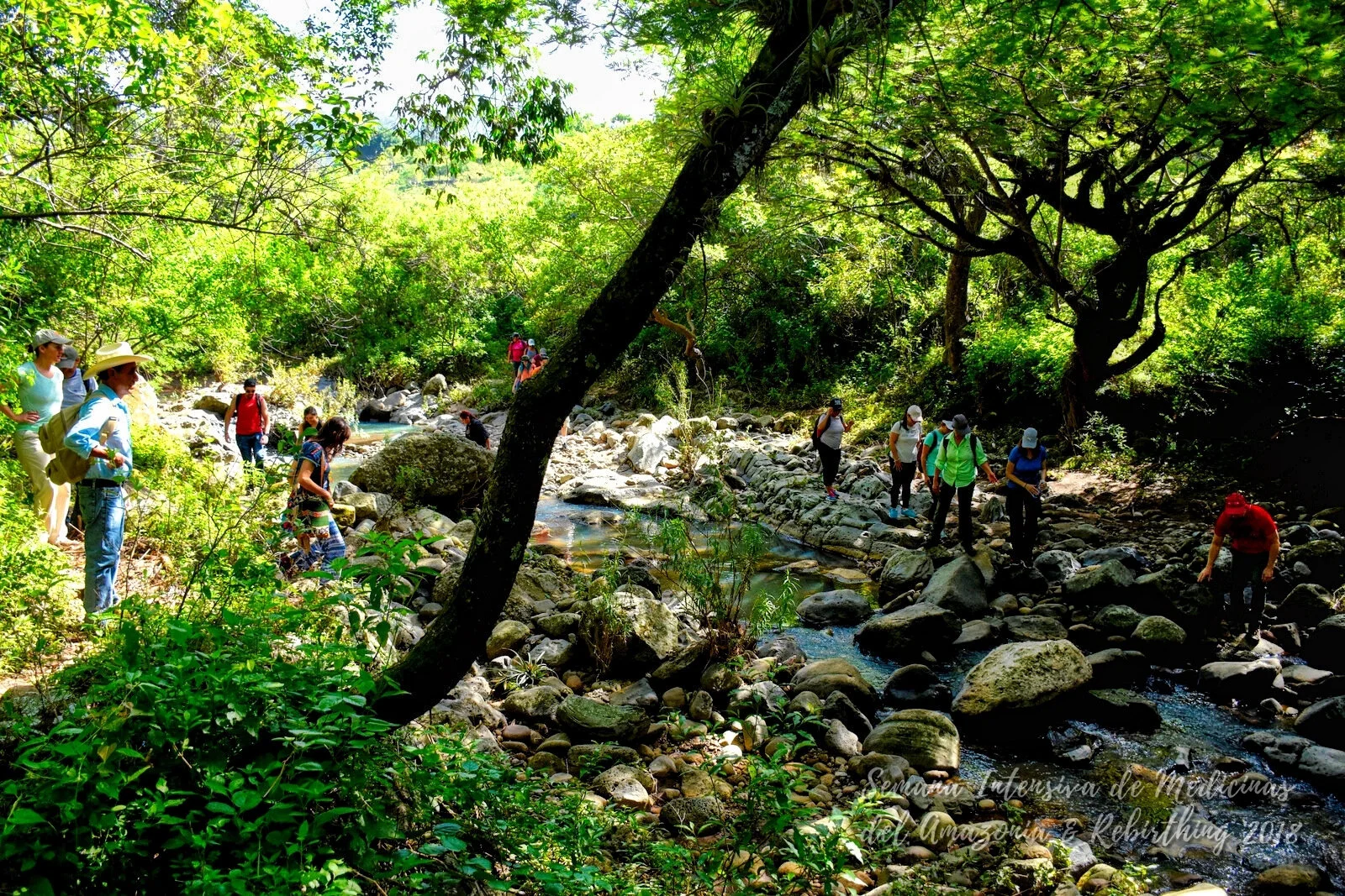 Dieta de Plantas-026.jpg