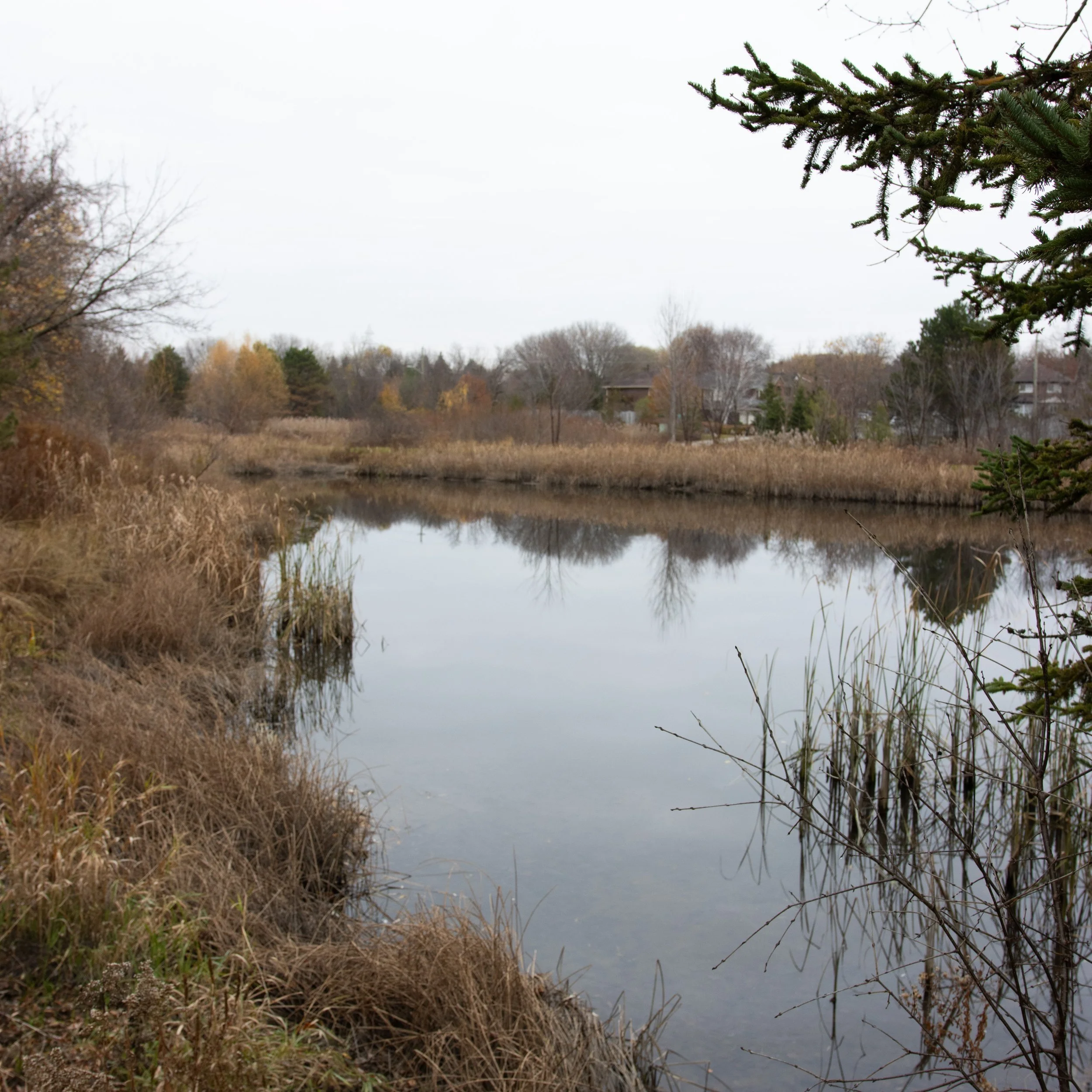 New Series: Photo Location Ideas In Whitby, Ontario