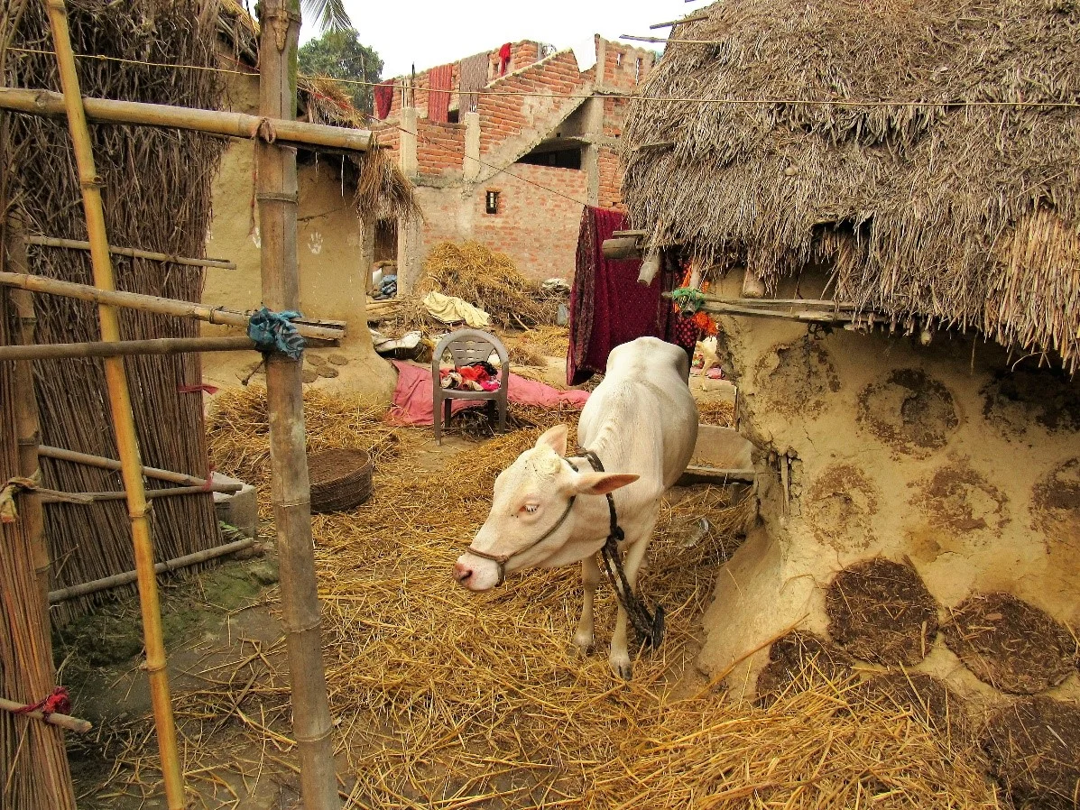 Patna, Northern India