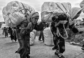 Refugees seeking refuge with everything they own and no destination in sight.