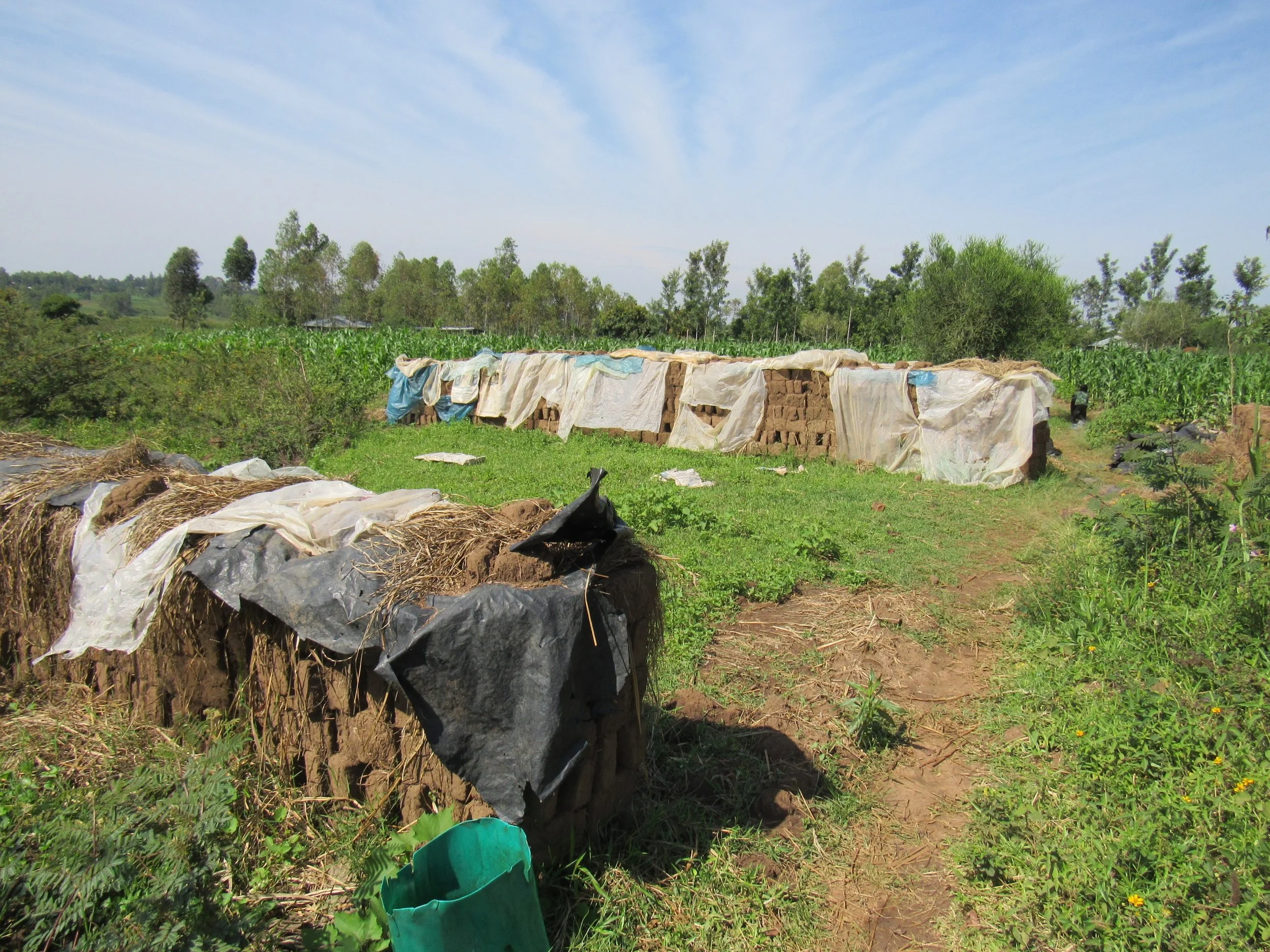 Mud bricks drying in the sun