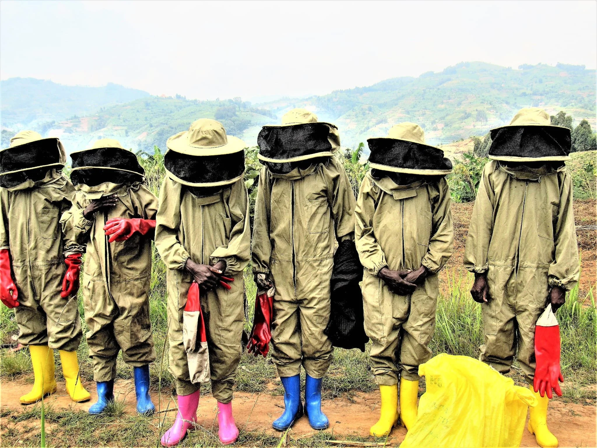 The Elephant and the Bee: Peaceful Co-Existence