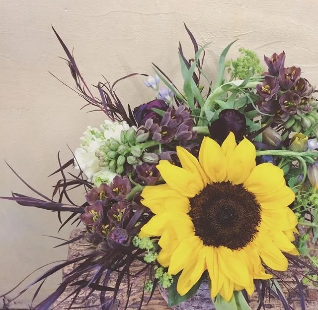 sunflower.jpg