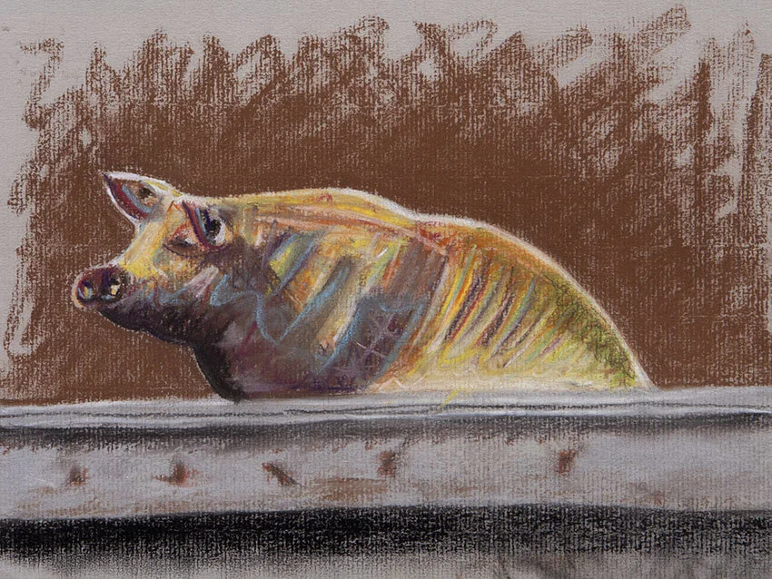 0FF39C21-1C27-407A-93D6-82D18AEAD342