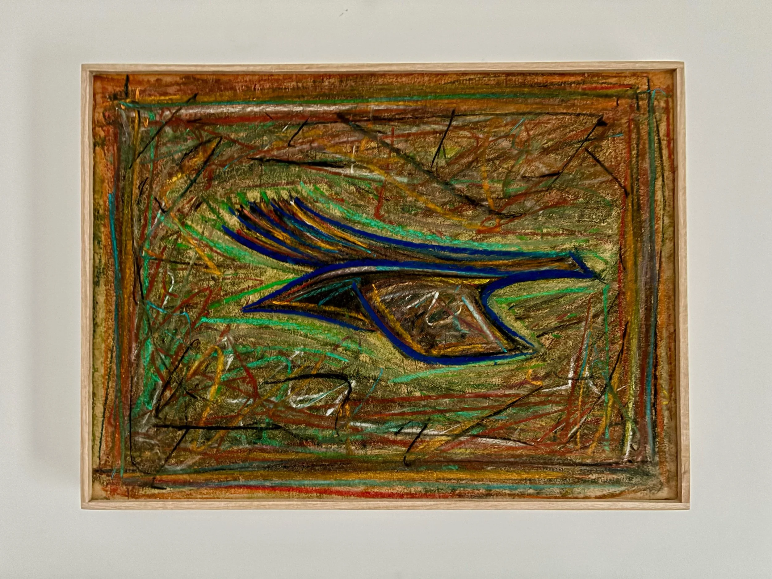 Black bird in flight