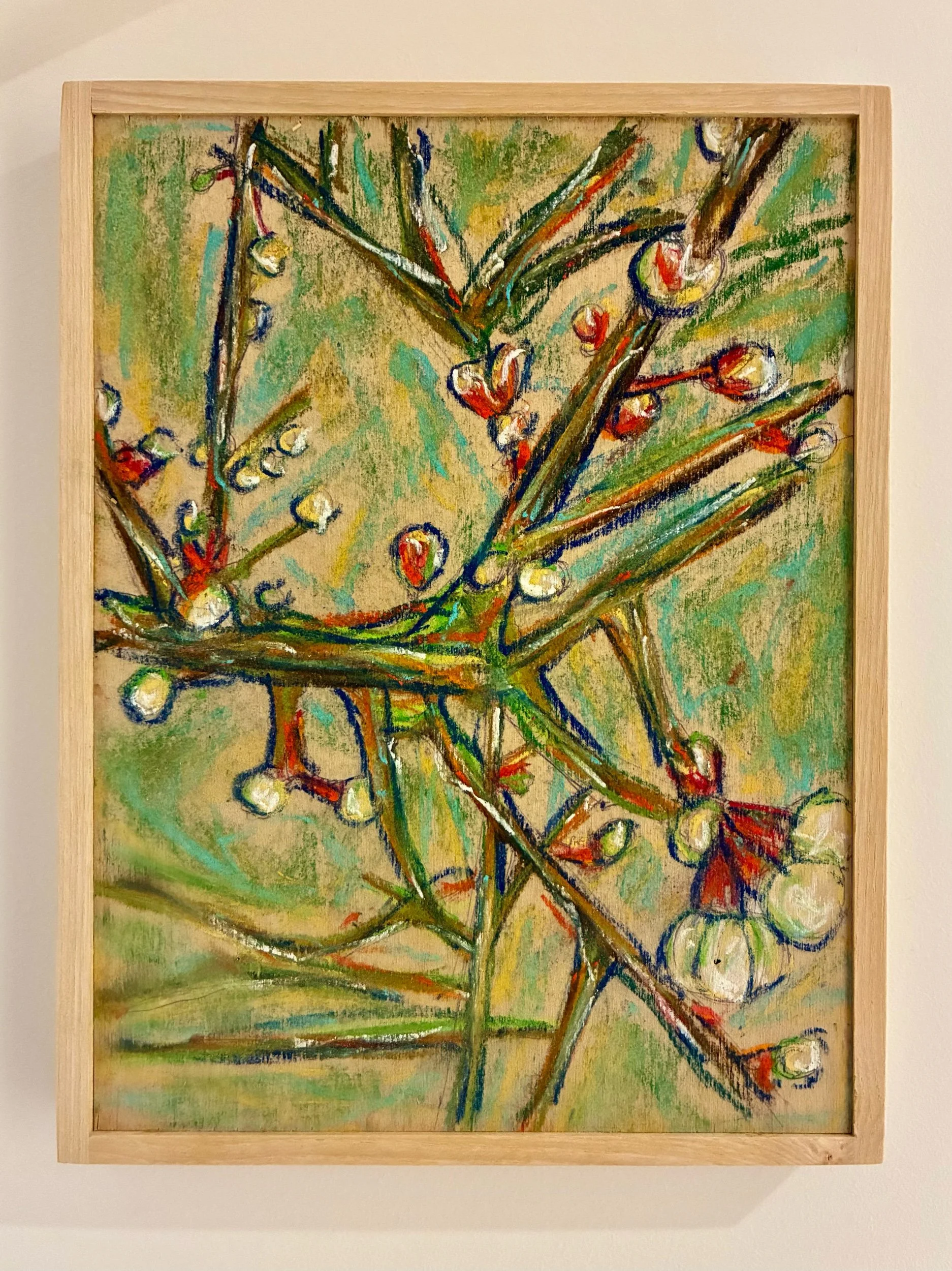 Blossom in Woodbridge 