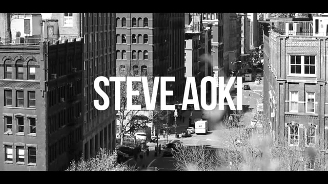 Steve Aoki Millennium