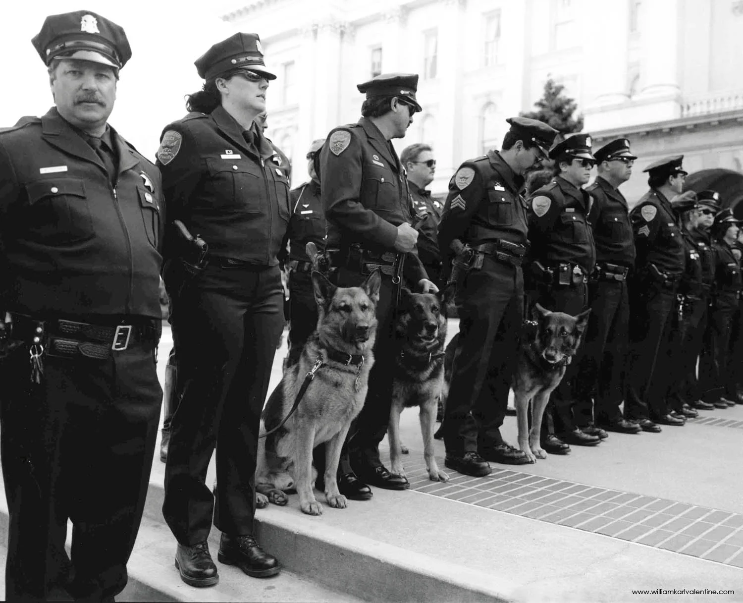 PD-125 #04