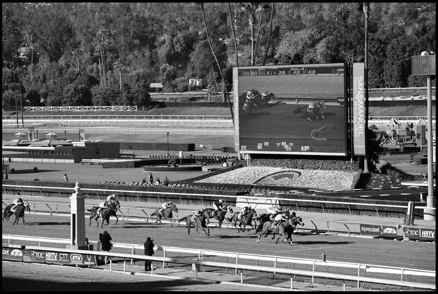 SA-DSC_3340 12/28/12