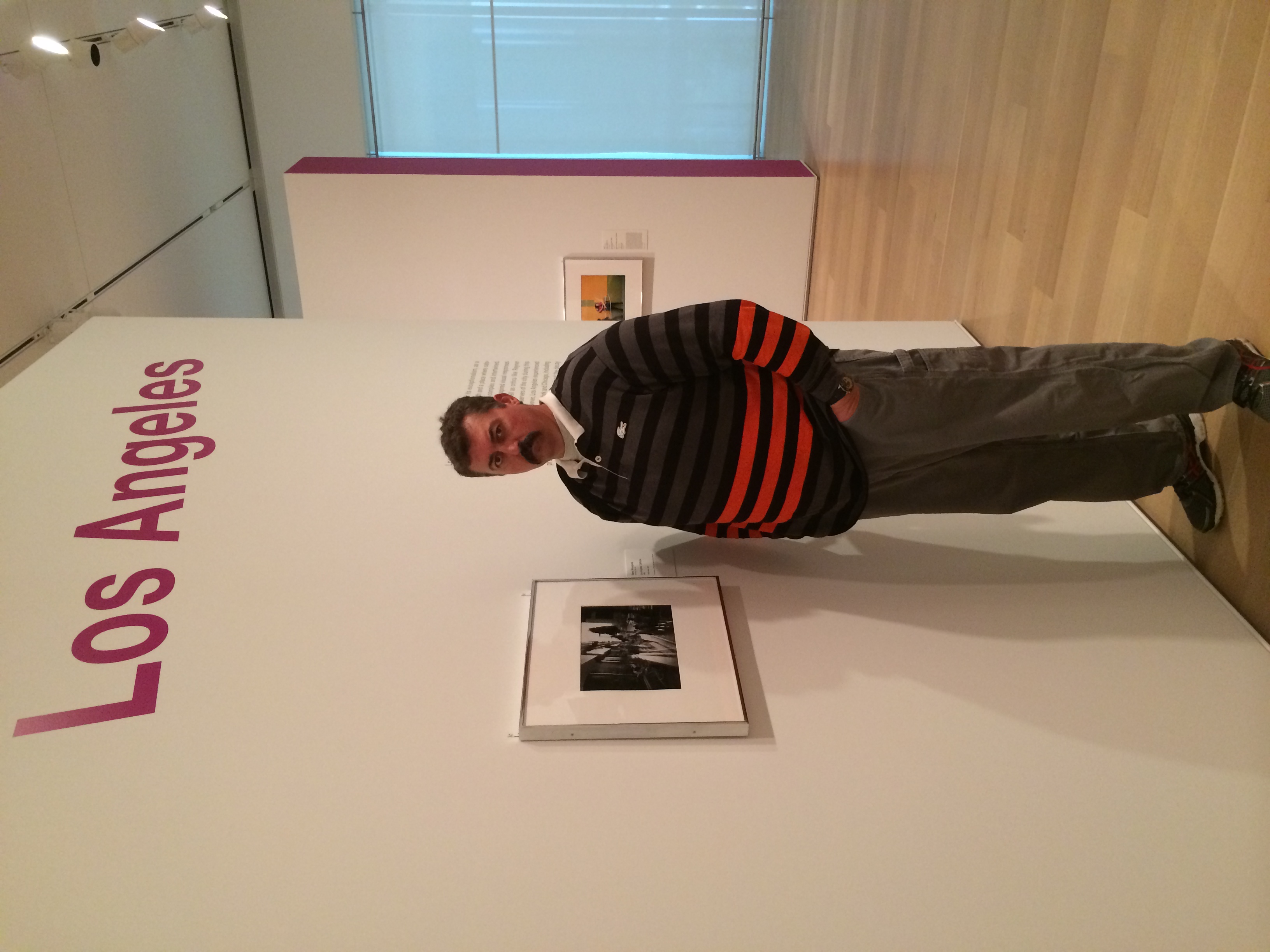The Art Institute of Chicago - 2014