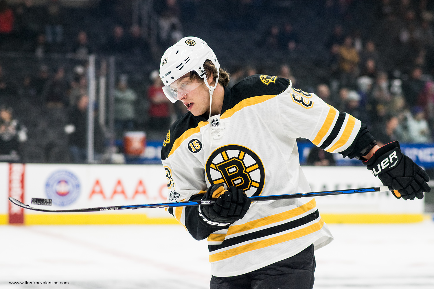 NHL DSC 0874 2-23-17