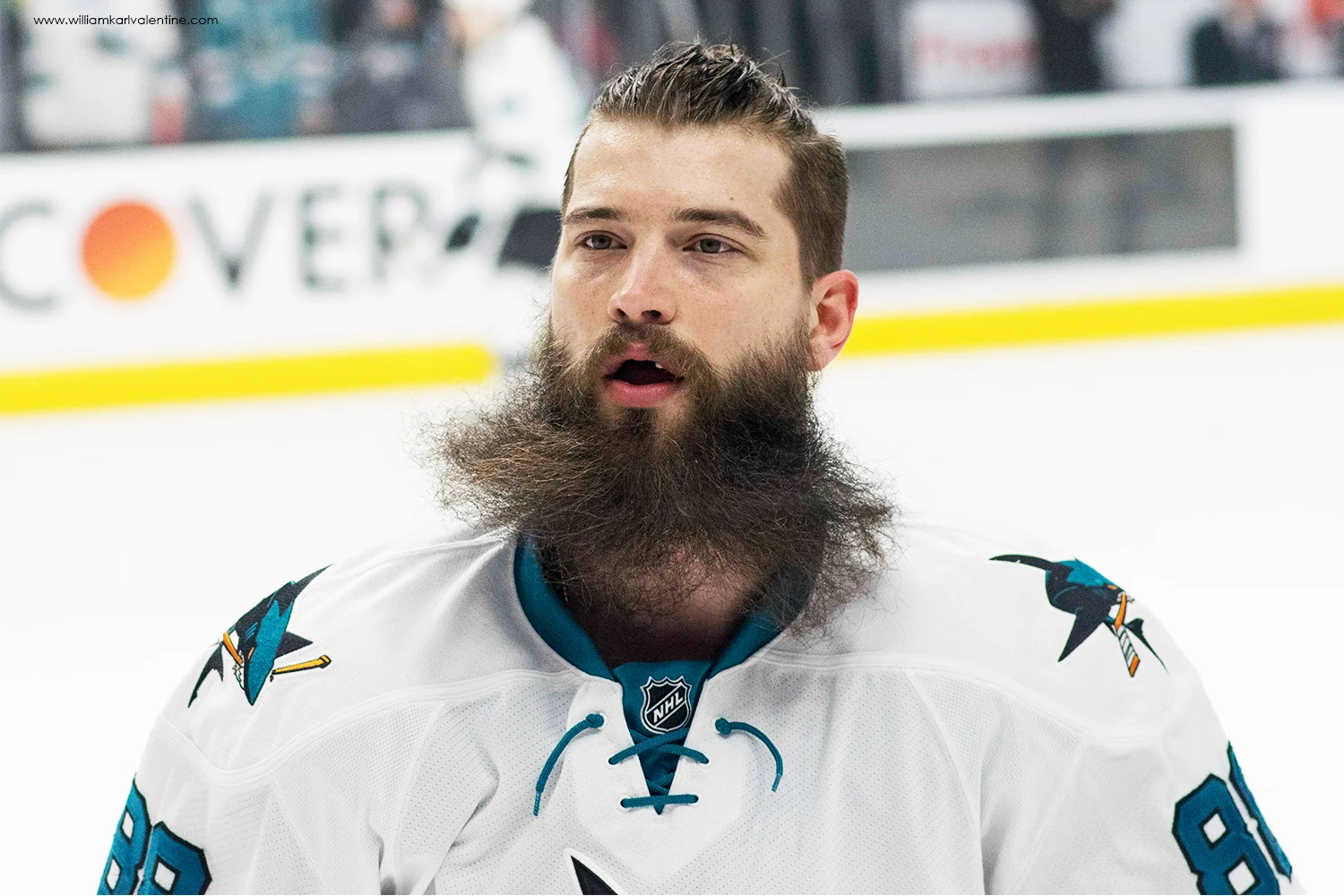 NHL DSC 0457 1-08-17