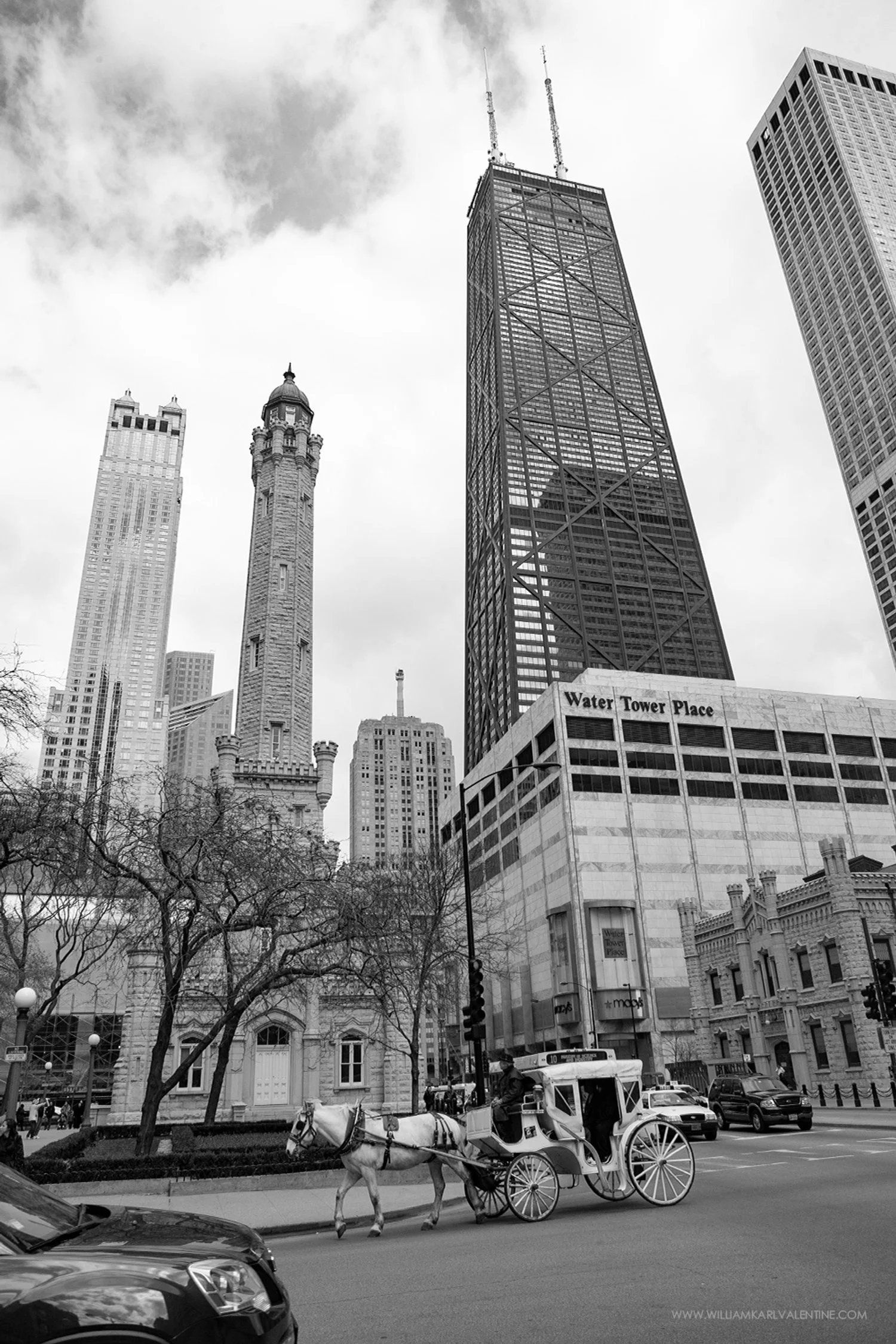 CHI DSC 8204 4-05-11