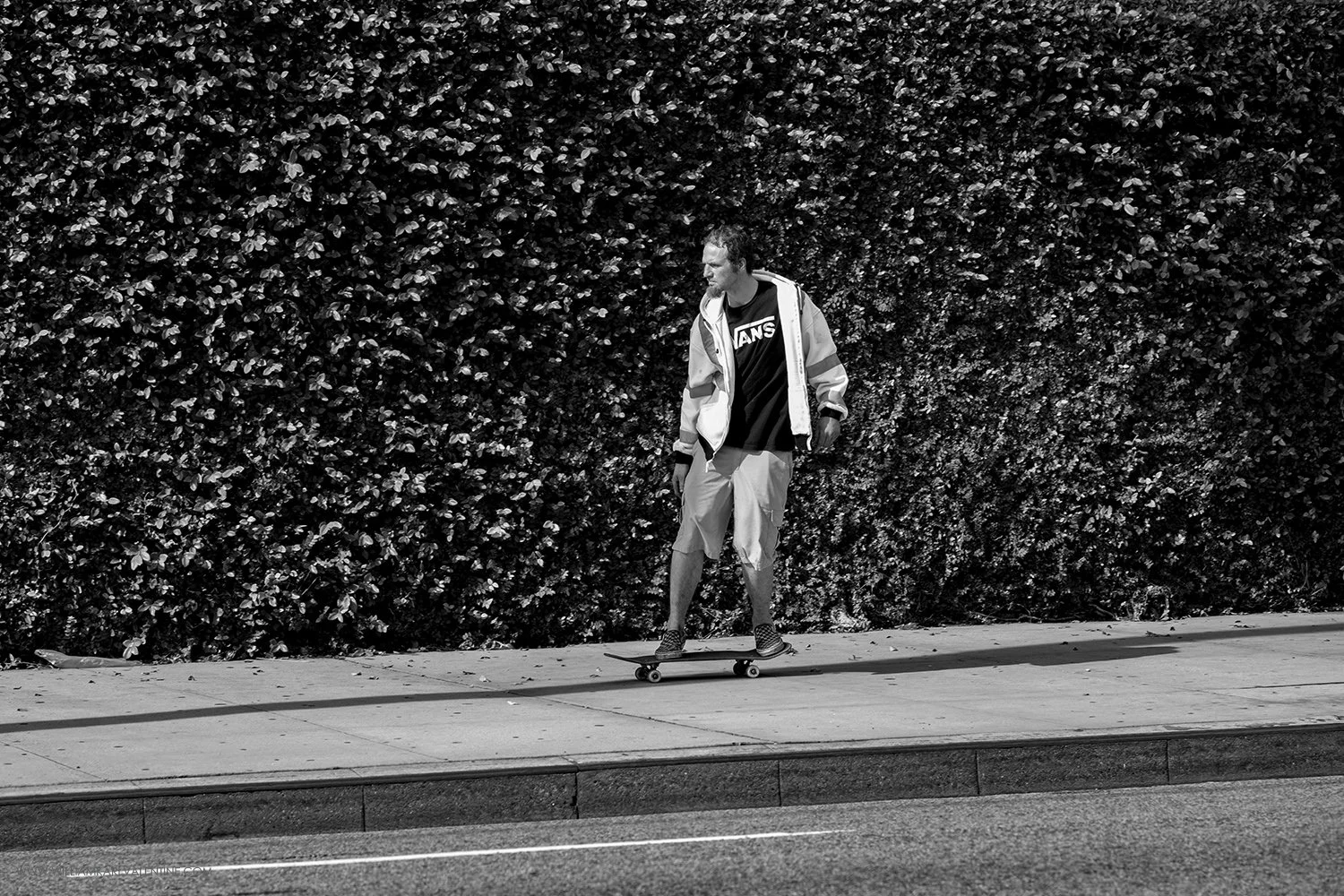 CA DSC 1860 1-19-24