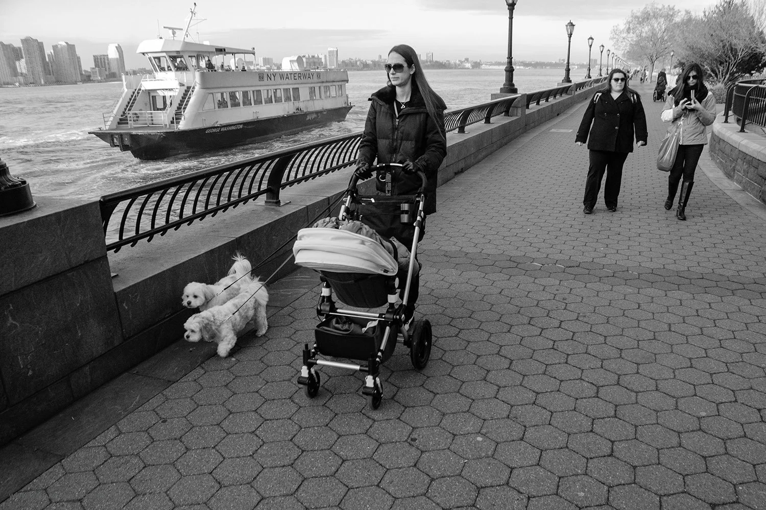 NY DSC 6402 12-30-11