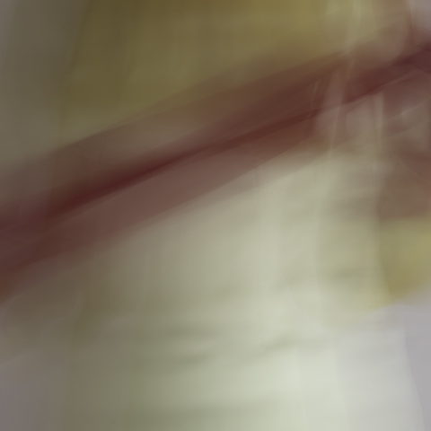 airy nothing, 5, 2014 20 x 20 in./40 x 40 in. Archival pigment print on Canson paper Edition of 5