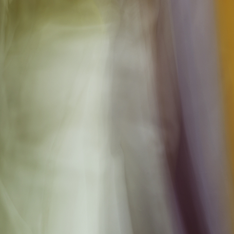airy nothing, 7, 2014 20 x 20 in./40 x 40 in. Archival pigment print on Canson paper Edition of 5