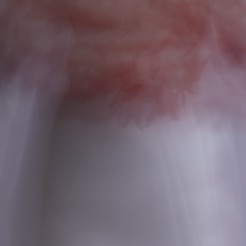 fairy toys, 2, 2014 20 x 20 in./40 x 40 in. Archival pigment print on Canson paper Edition of 5