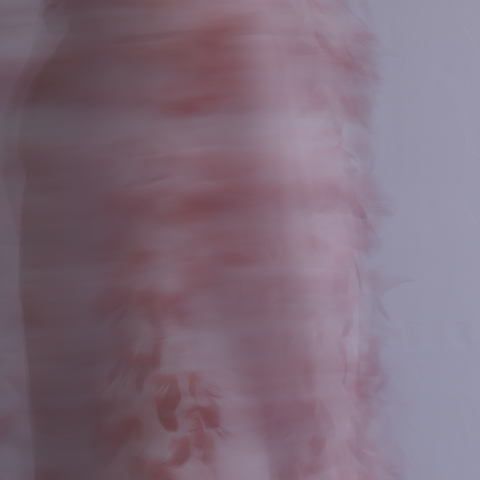 fairy toys, 3, 2014 20 x 20 in./40 x 40 in. Archival pigment print on Canson paper Edition of 5