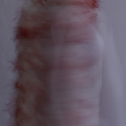 fairy toys, 4, 2014 20 x 20 in./40 x 40 in. Archival pigment print on Canson paper Edition of 5