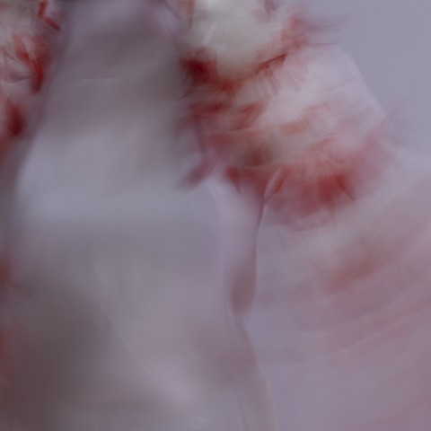 fairy toys, 5, 2014 20 x 20 in./40 x 40 in. Archival pigment print on Canson paper Edition of 5