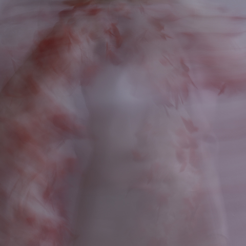fairy toys, 6, 2014 20 x 20 in./40 x 40 in. Archival pigment print on Canson paper Edition of 5