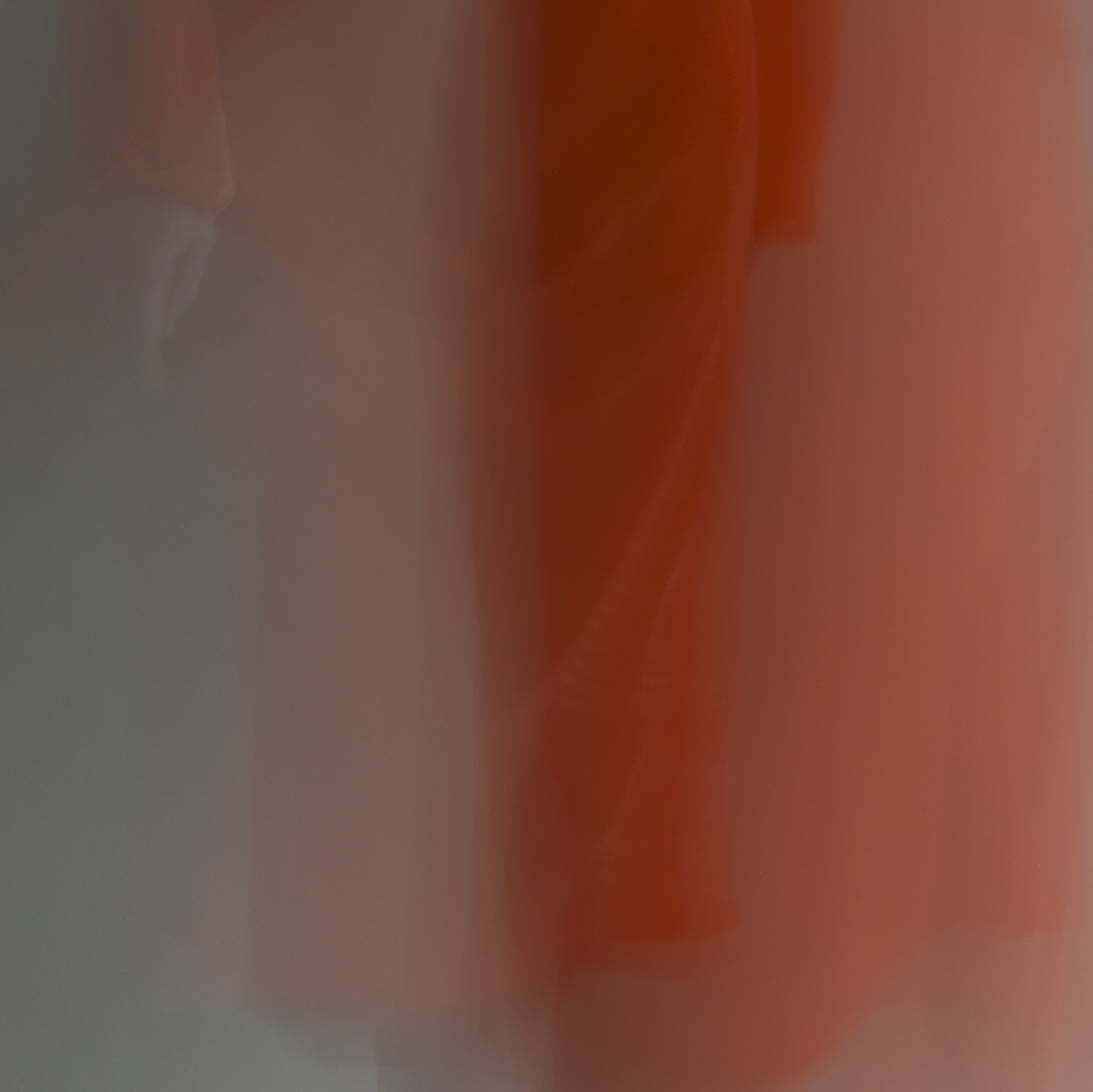 frenzy rolling, 12, 2014 20 x 20 in. Archival pigment Edition of 5