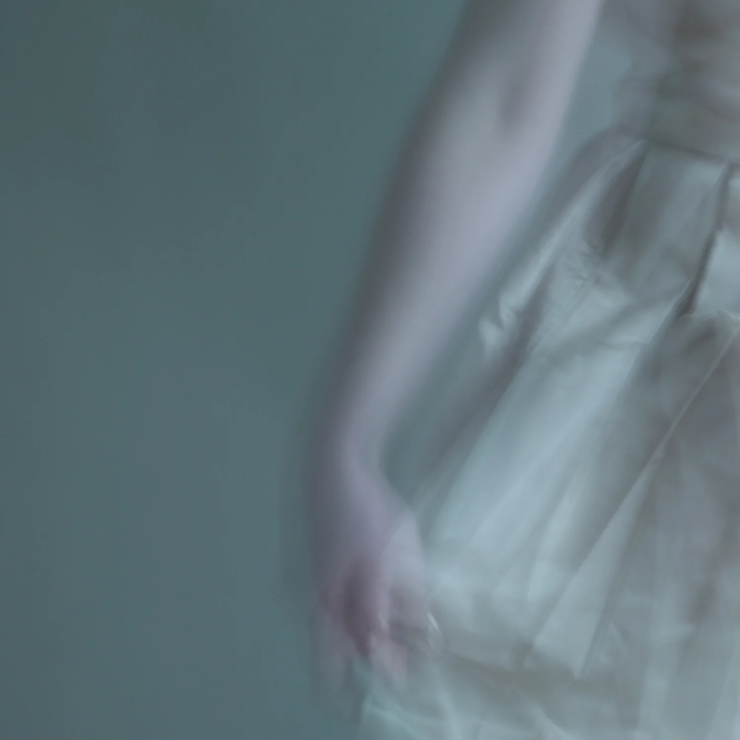 some joy, 8, 2014 20 x 20 in. Archival pigment print on Canson paper Edition of 5