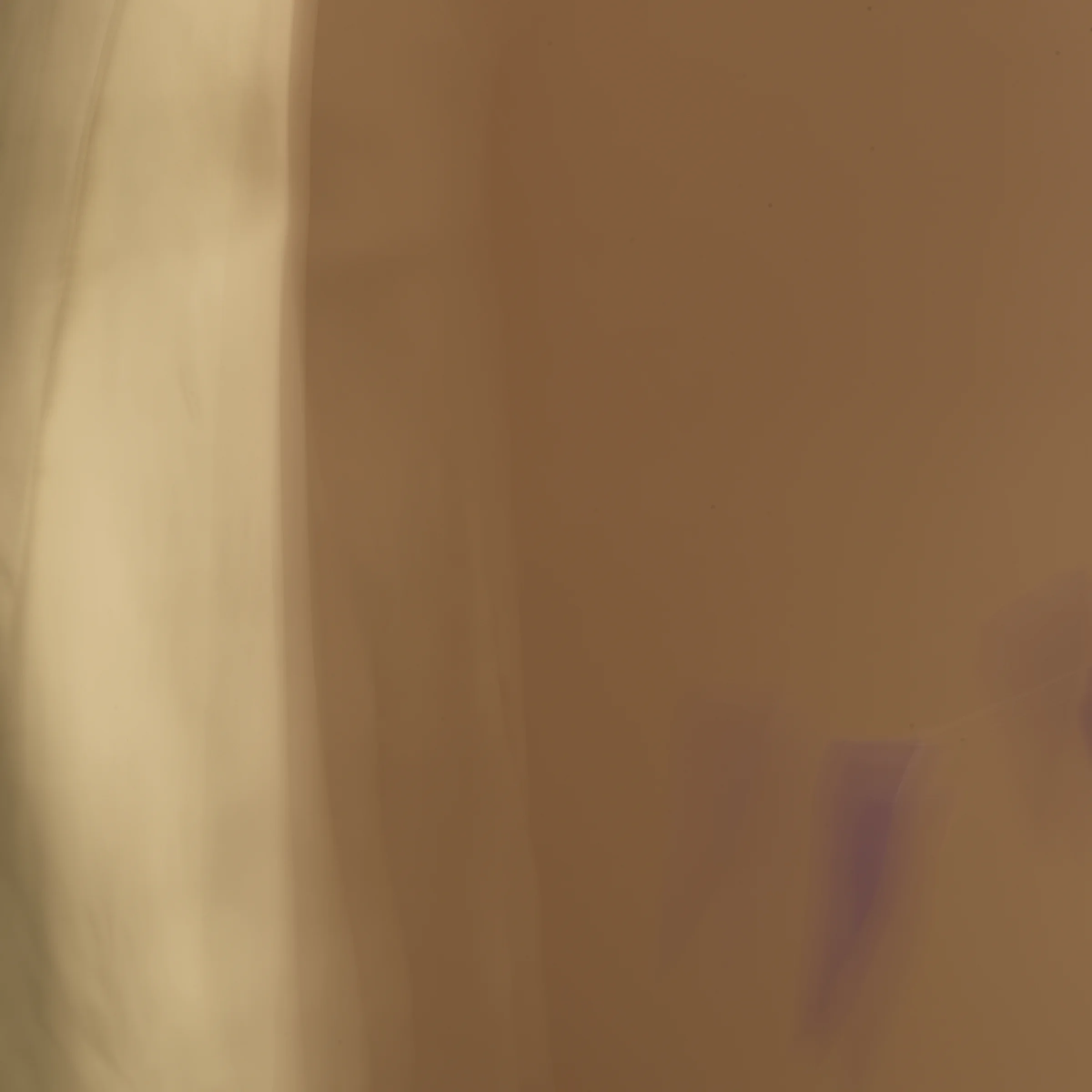 poet's pen, 3, 2014 20 x 20 in. Archival pigment print on Canson paper Edition of 5
