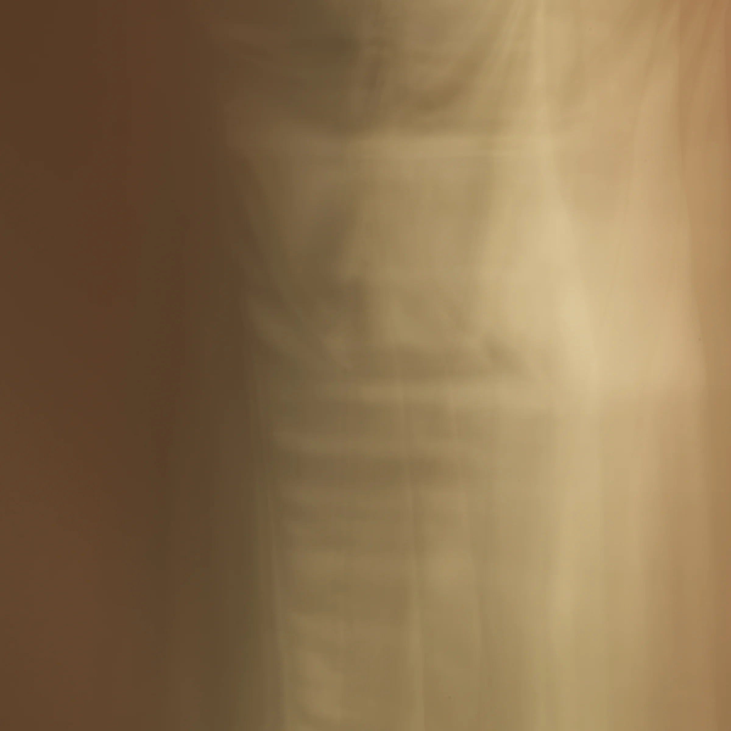 poet's pen, 5, 2014 20 x 20 in. Archival pigment print on Canson paper Edition of 5