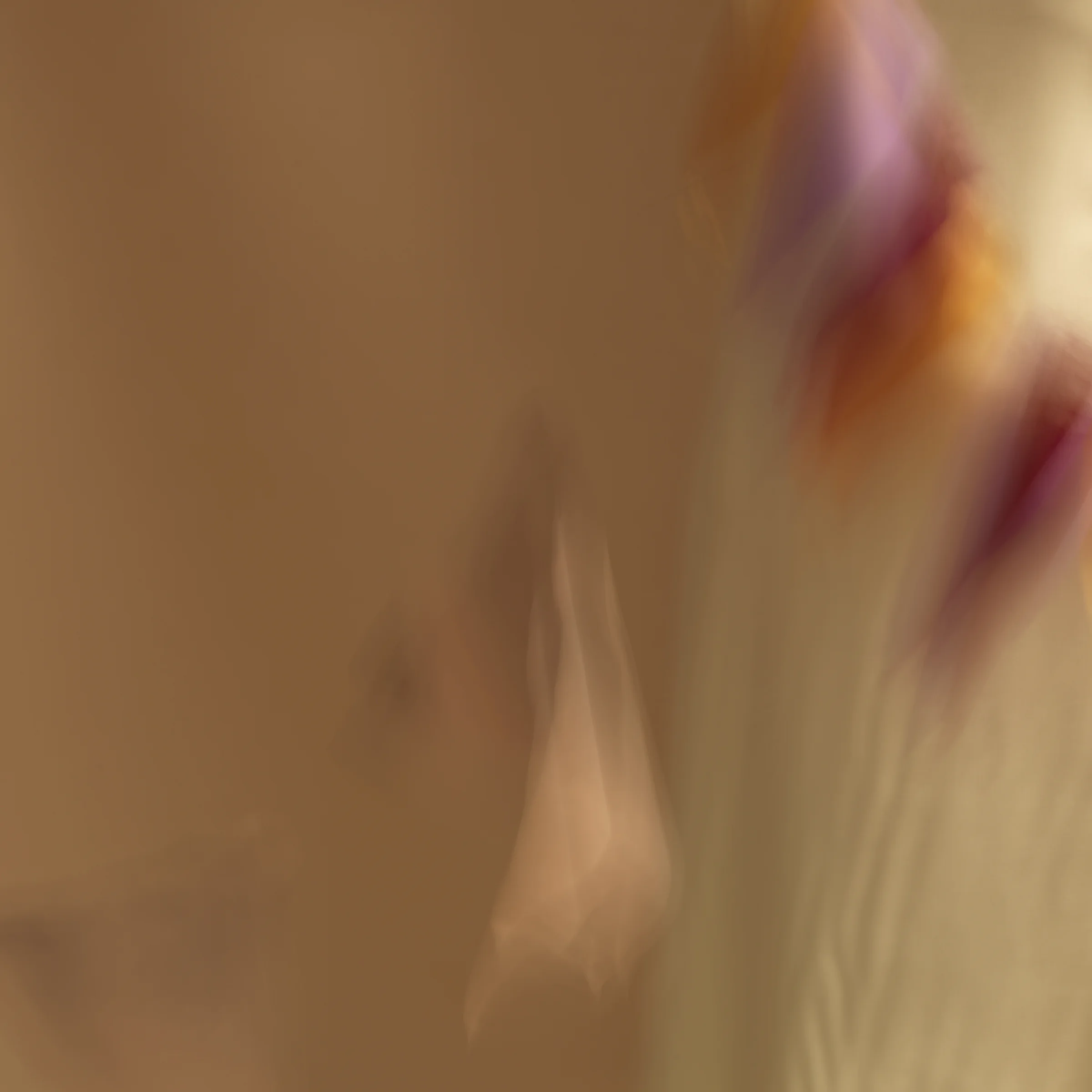poet's pen, 10, 2014 20 x 20 in. Archival pigment print on Canson paper Edition of 5