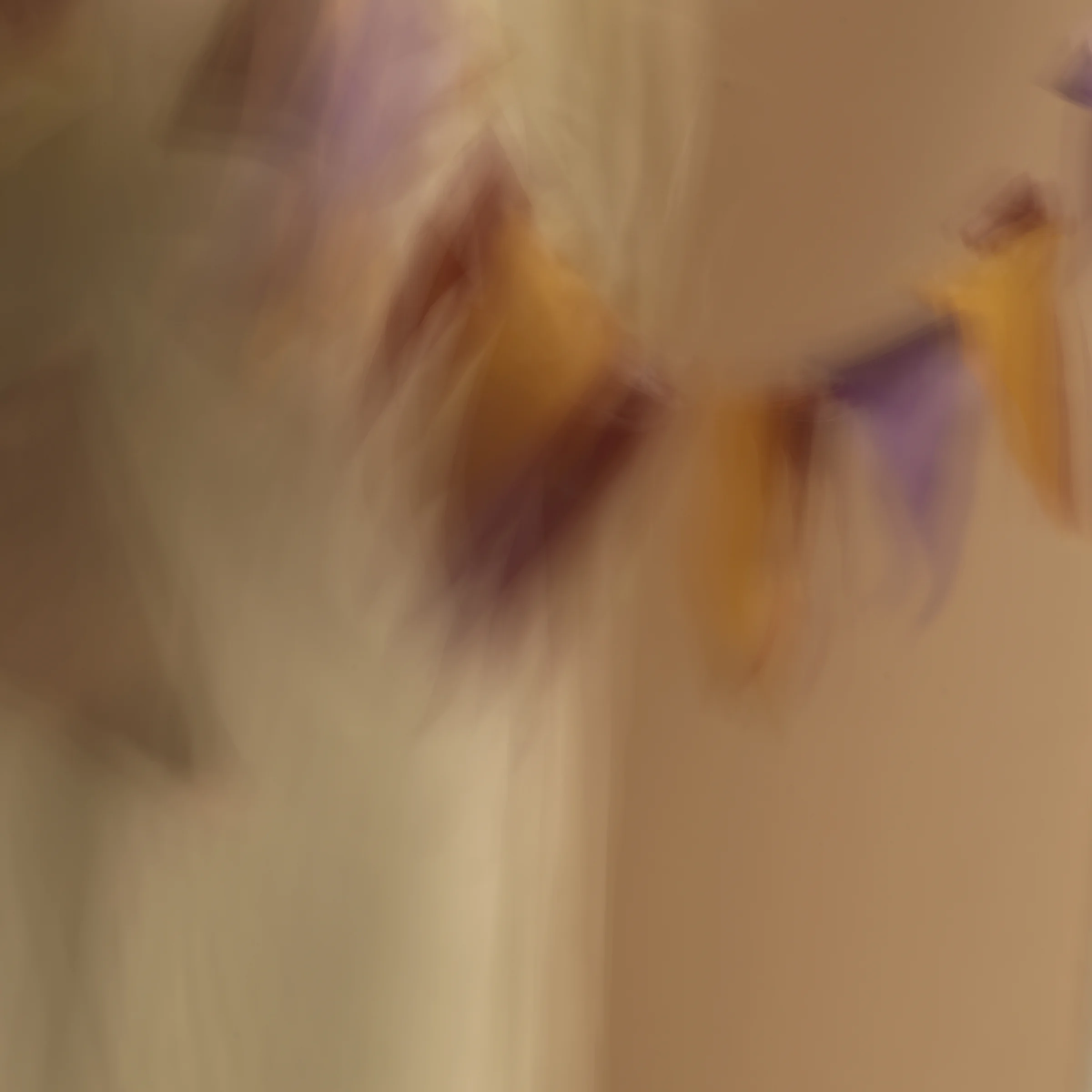 poet's pen, 11, 2014 20 x 20 in. Archival pigment print on Canson paper Edition of 5